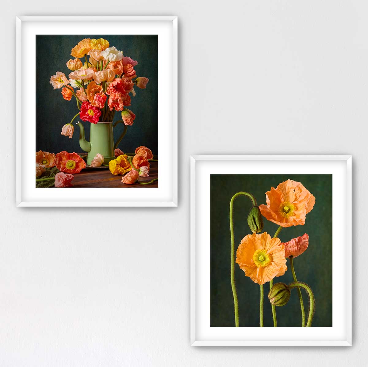 Poppy Passion Duo
