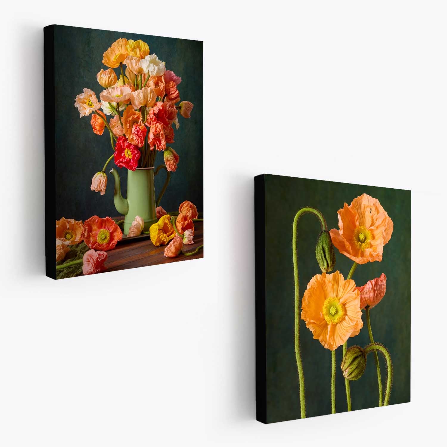 Poppy Passion Duo