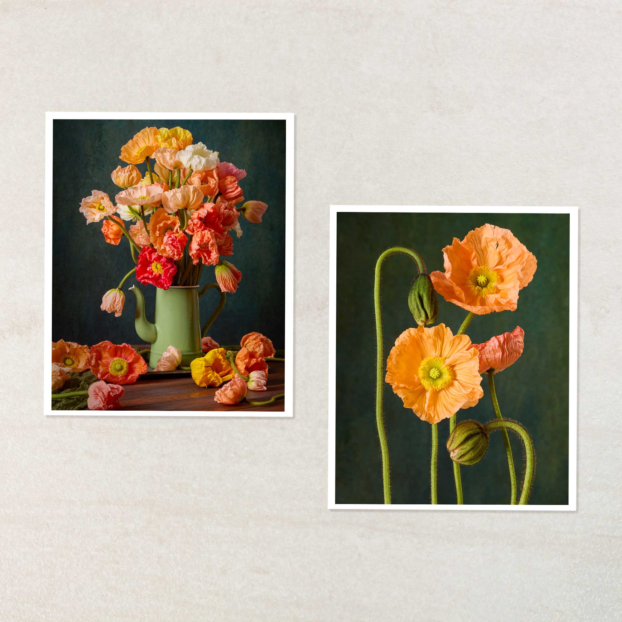 Poppy Passion Duo