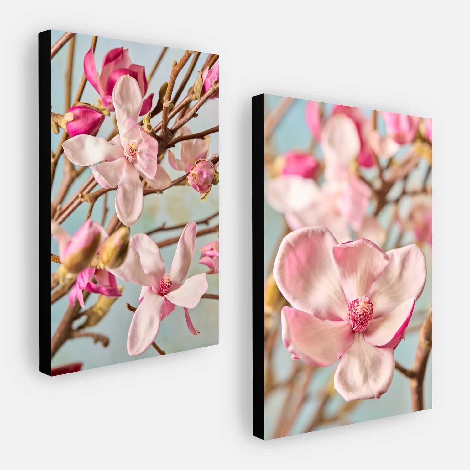 Magnolia Duo