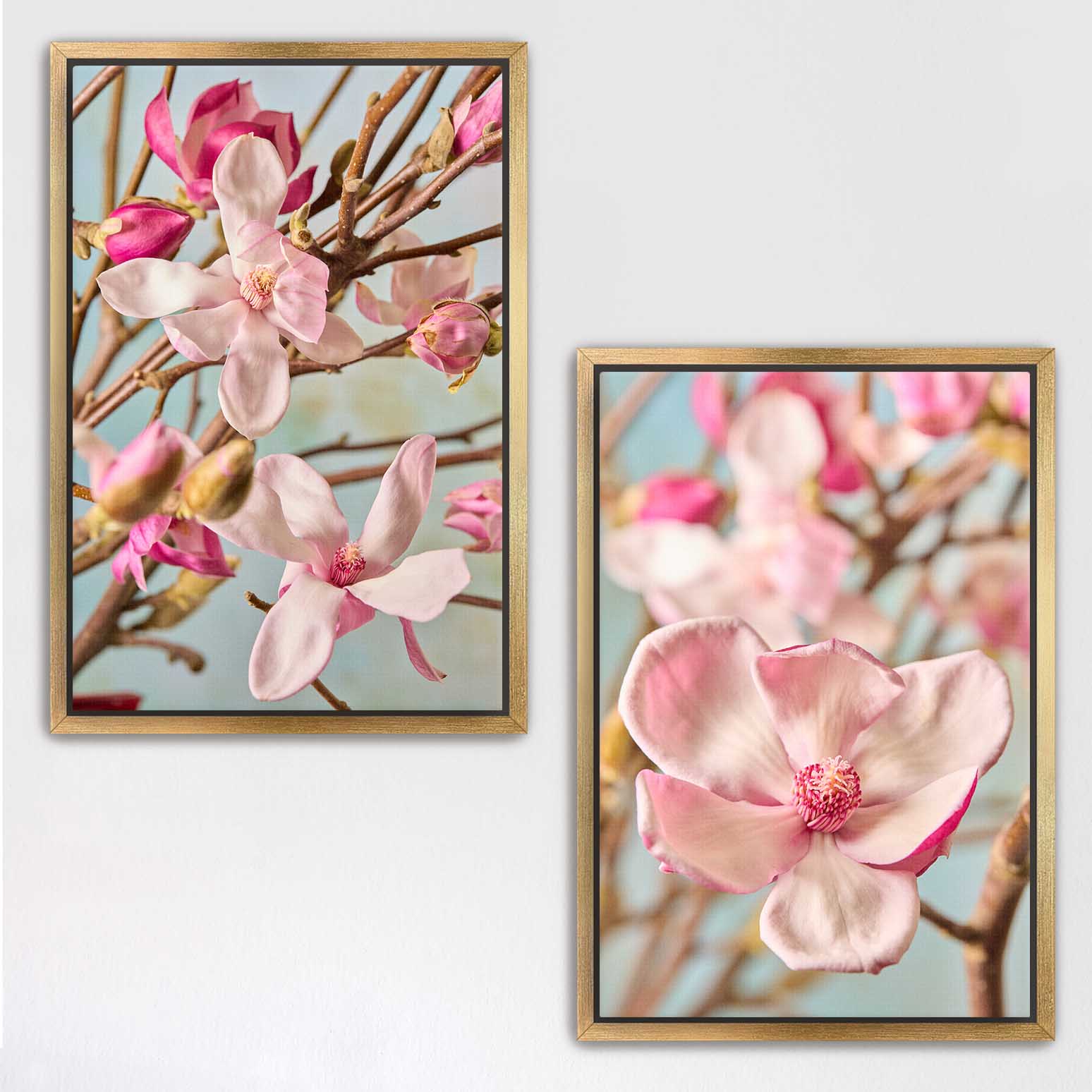 Magnolia Duo