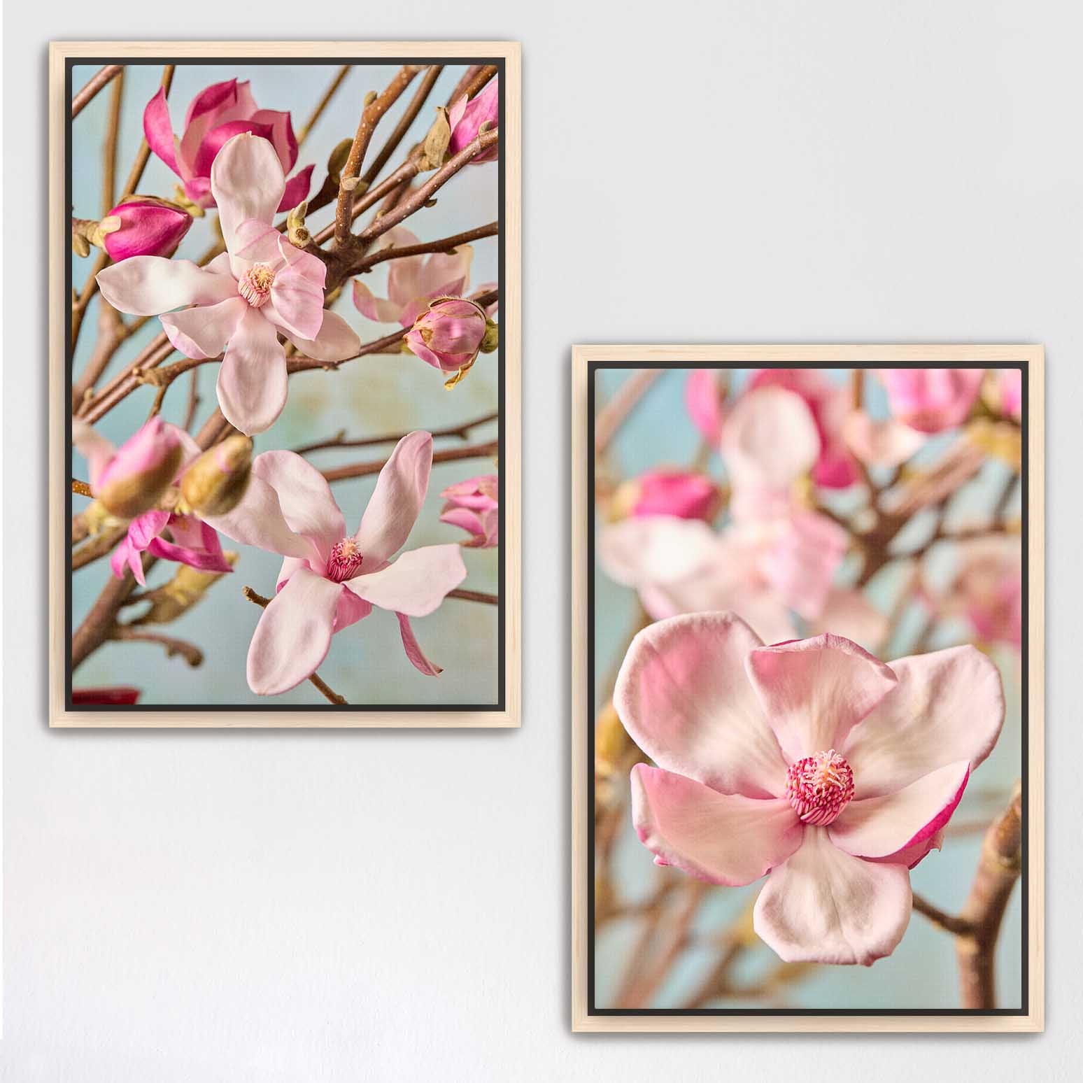 Magnolia Duo