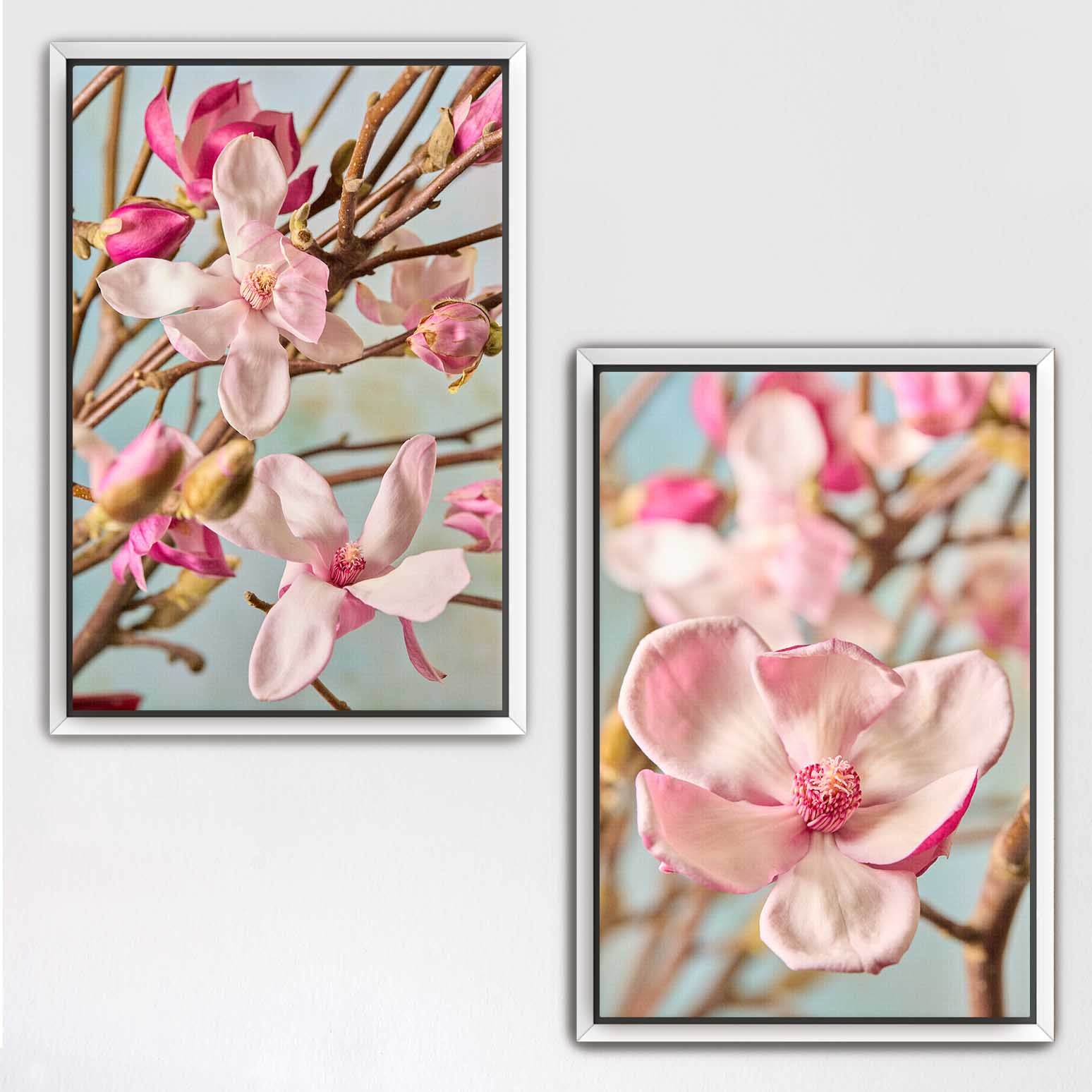Magnolia Duo