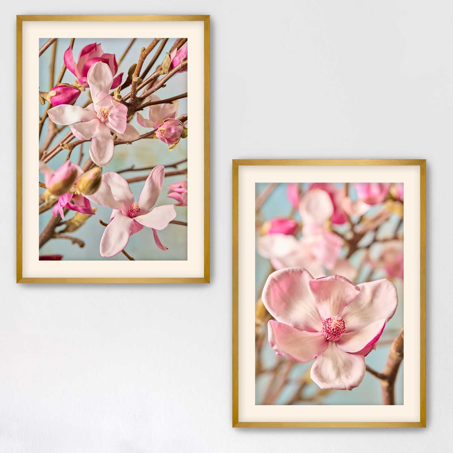 Magnolia Duo