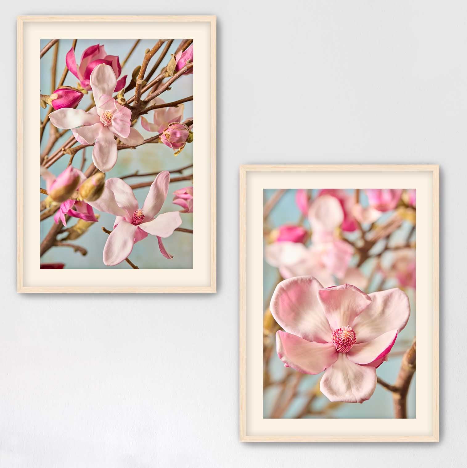 Magnolia Duo