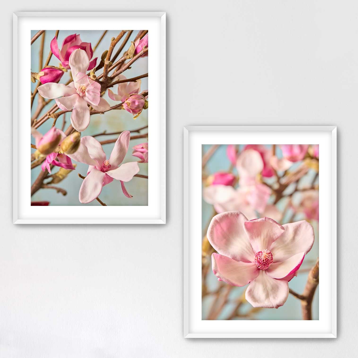 Magnolia Duo
