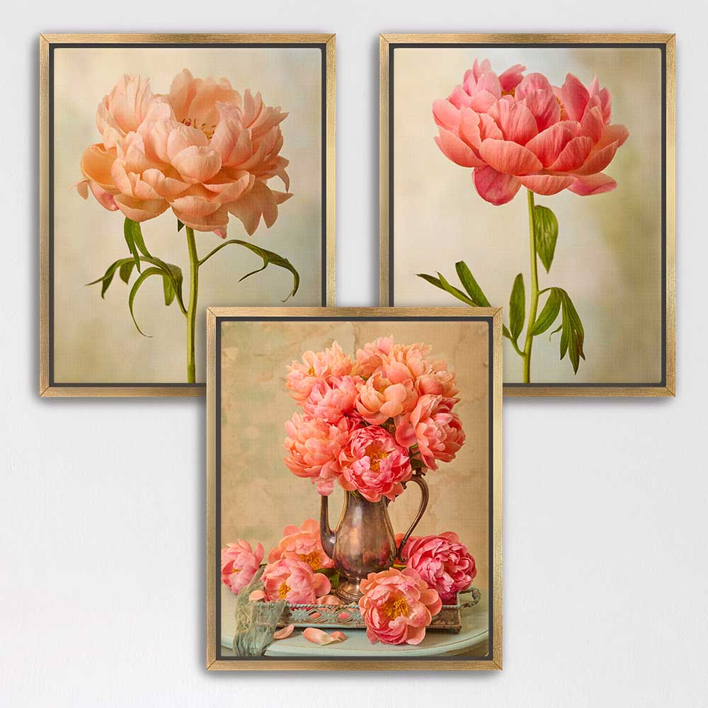Coral Charm Arrangement- 3 Piece Art Set