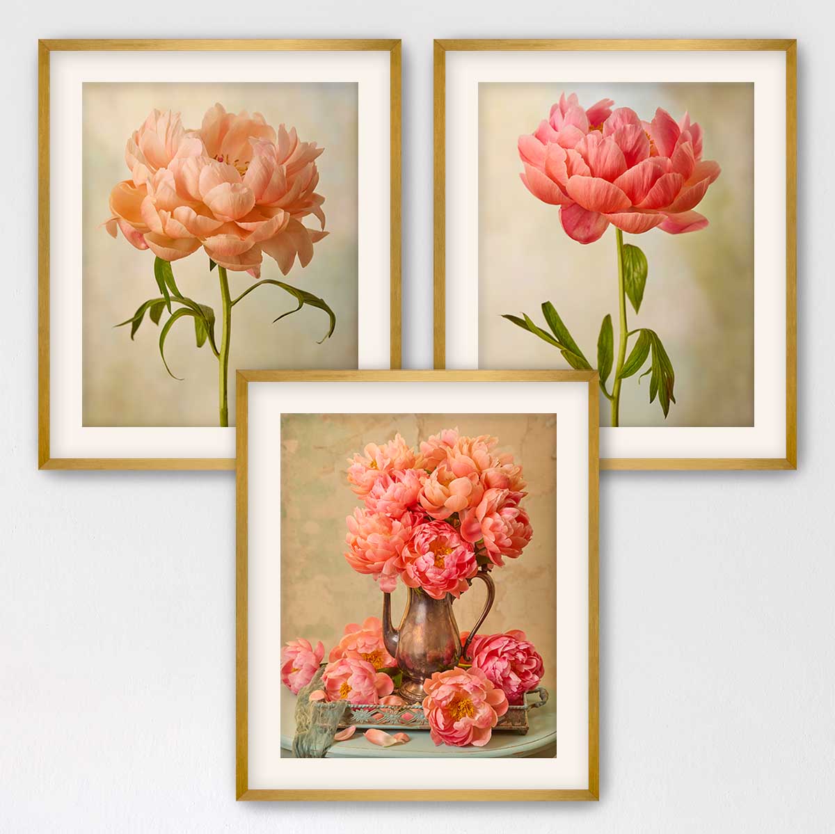 Coral Charm Arrangement- 3 Piece Art Set