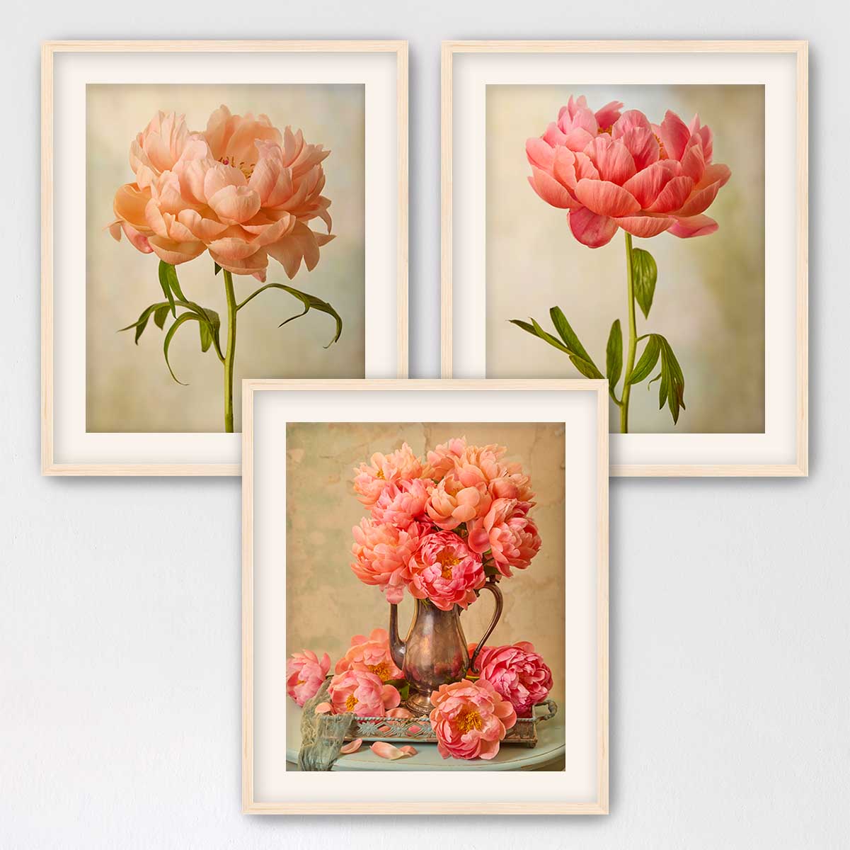 Coral Charm Arrangement- 3 Piece Art Set
