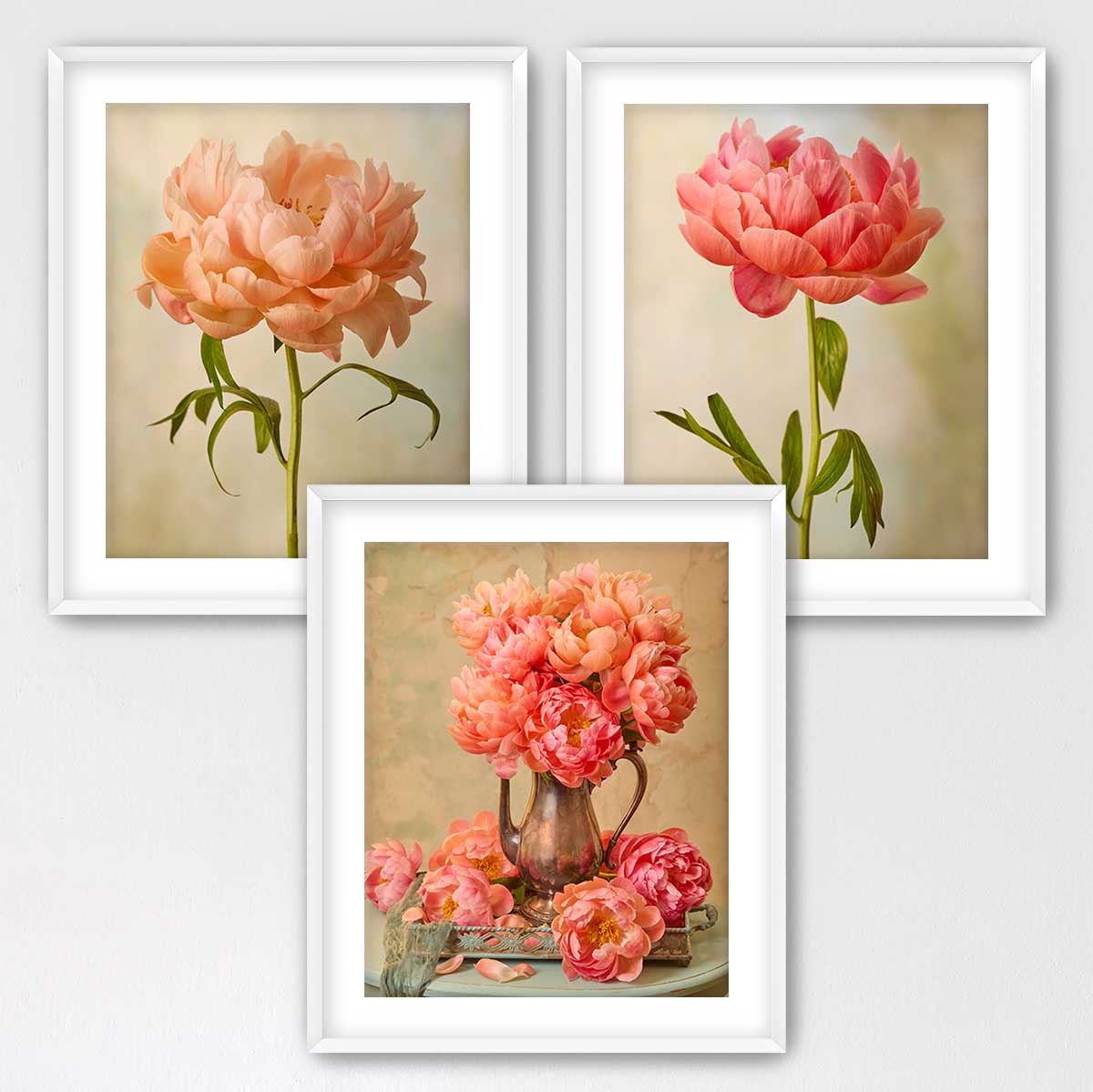 Coral Charm Arrangement- 3 Piece Art Set