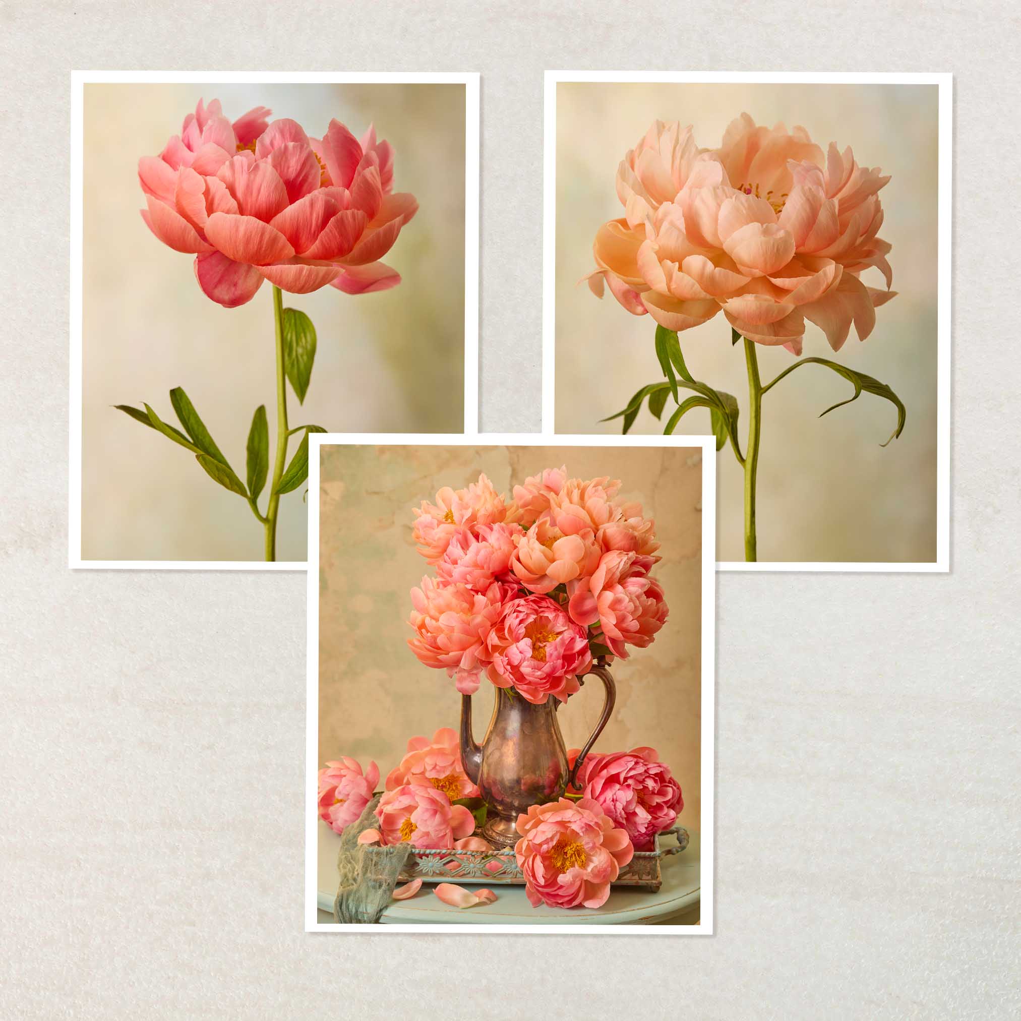 Coral Charm Arrangement- 3 Piece Art Set