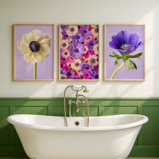 Anemone Portraits 3 Piece Art Set
