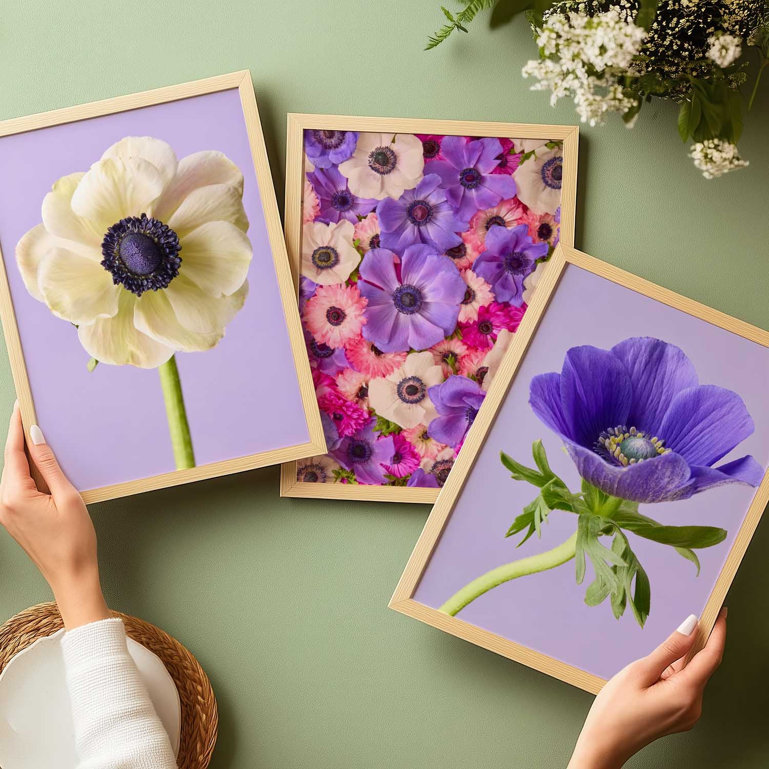 Anemone Portraits 3 Piece Art Print Set