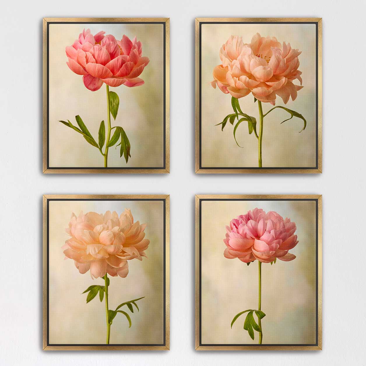 Coral Charm Peony 4 Piece Art Set