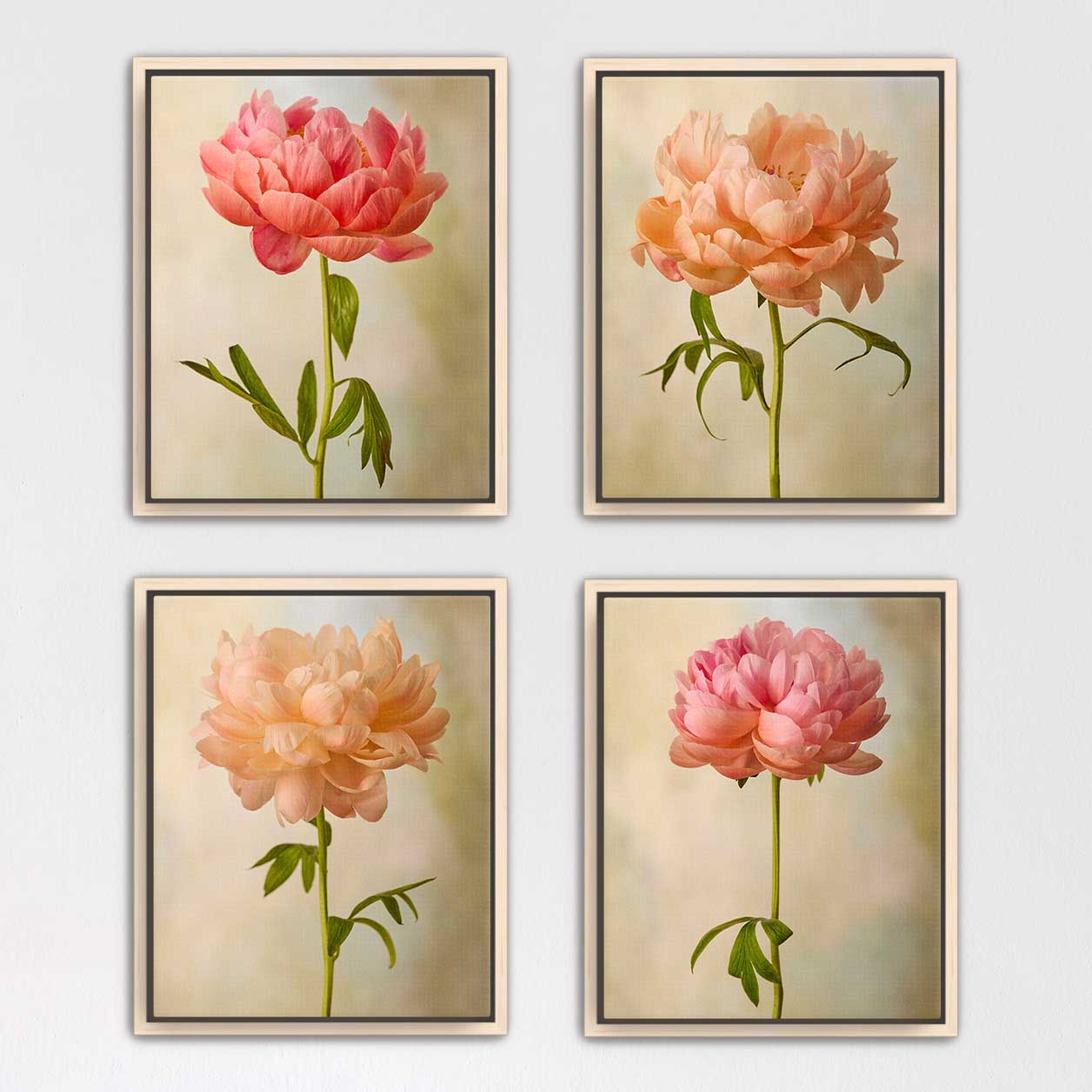Coral Charm Peony 4 Piece Art Set