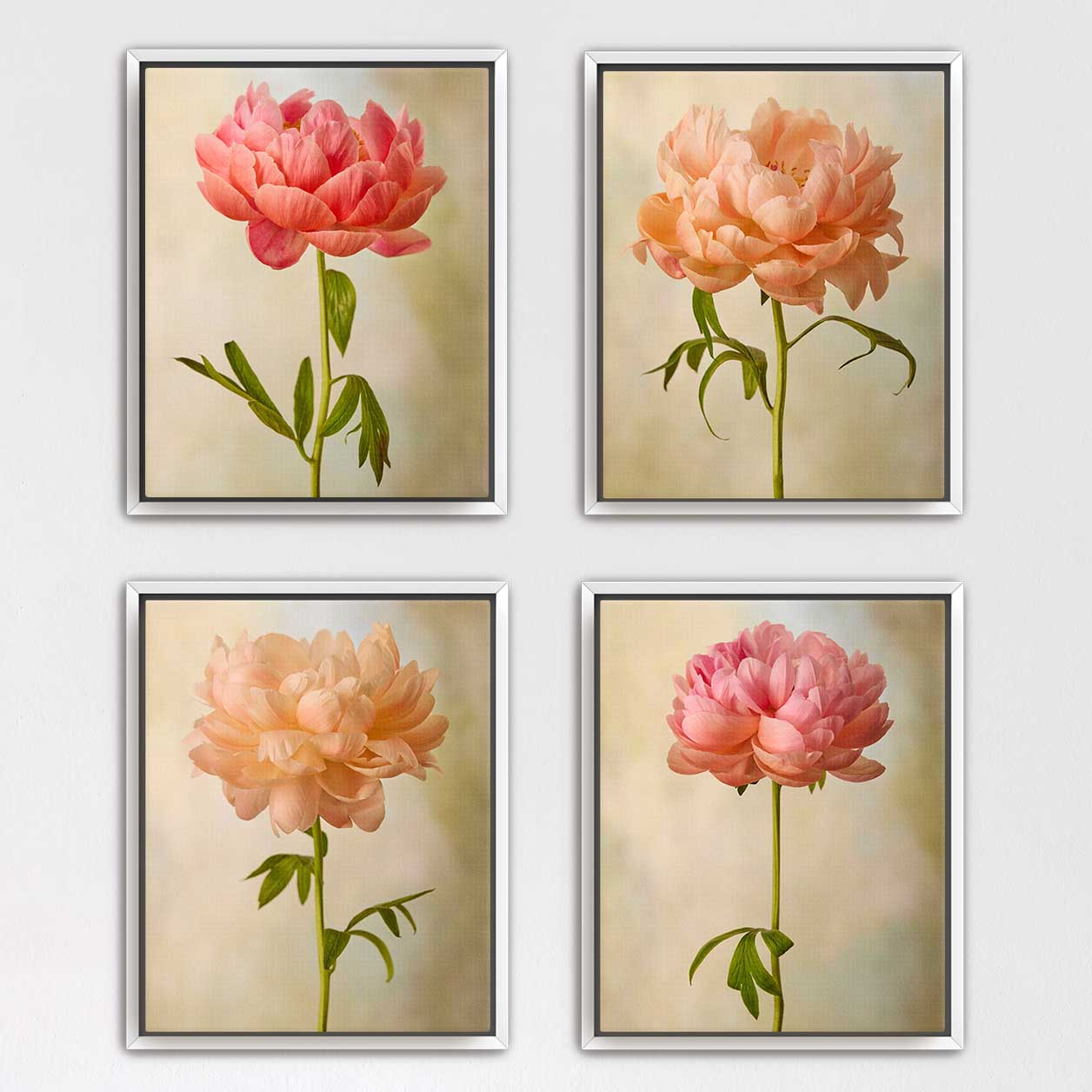 Coral Charm Peony 4 Piece Art Set