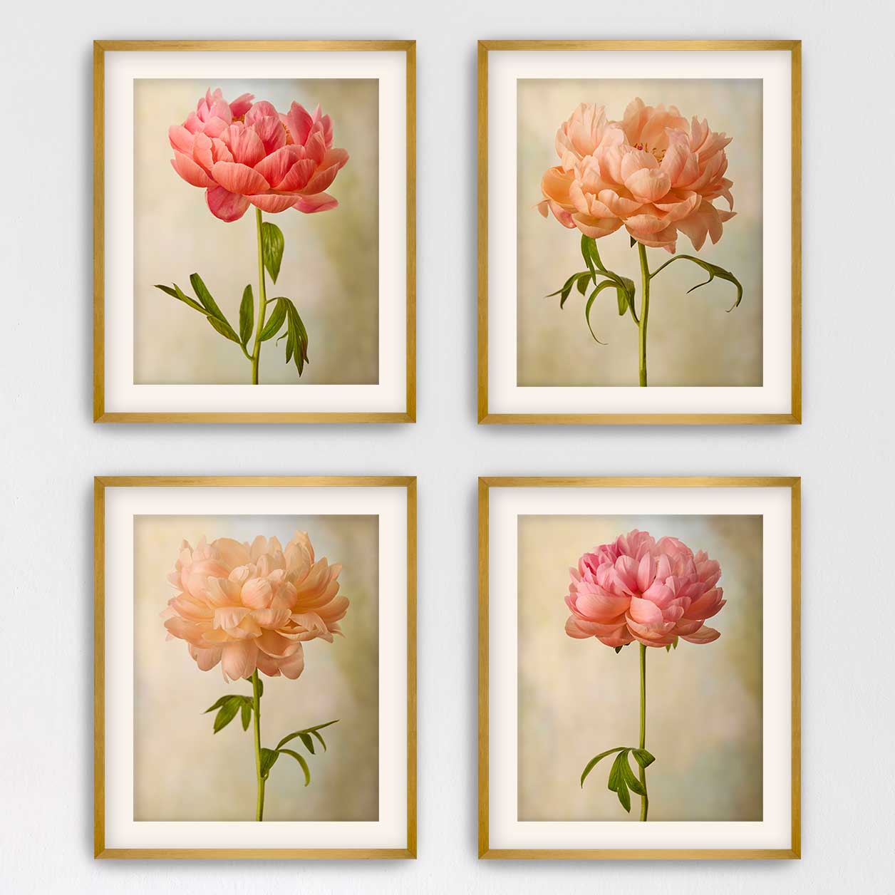 Coral Charm Peony 4 Piece Art Set