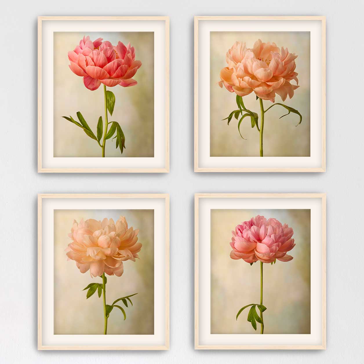 Coral Charm Peony 4 Piece Art Set
