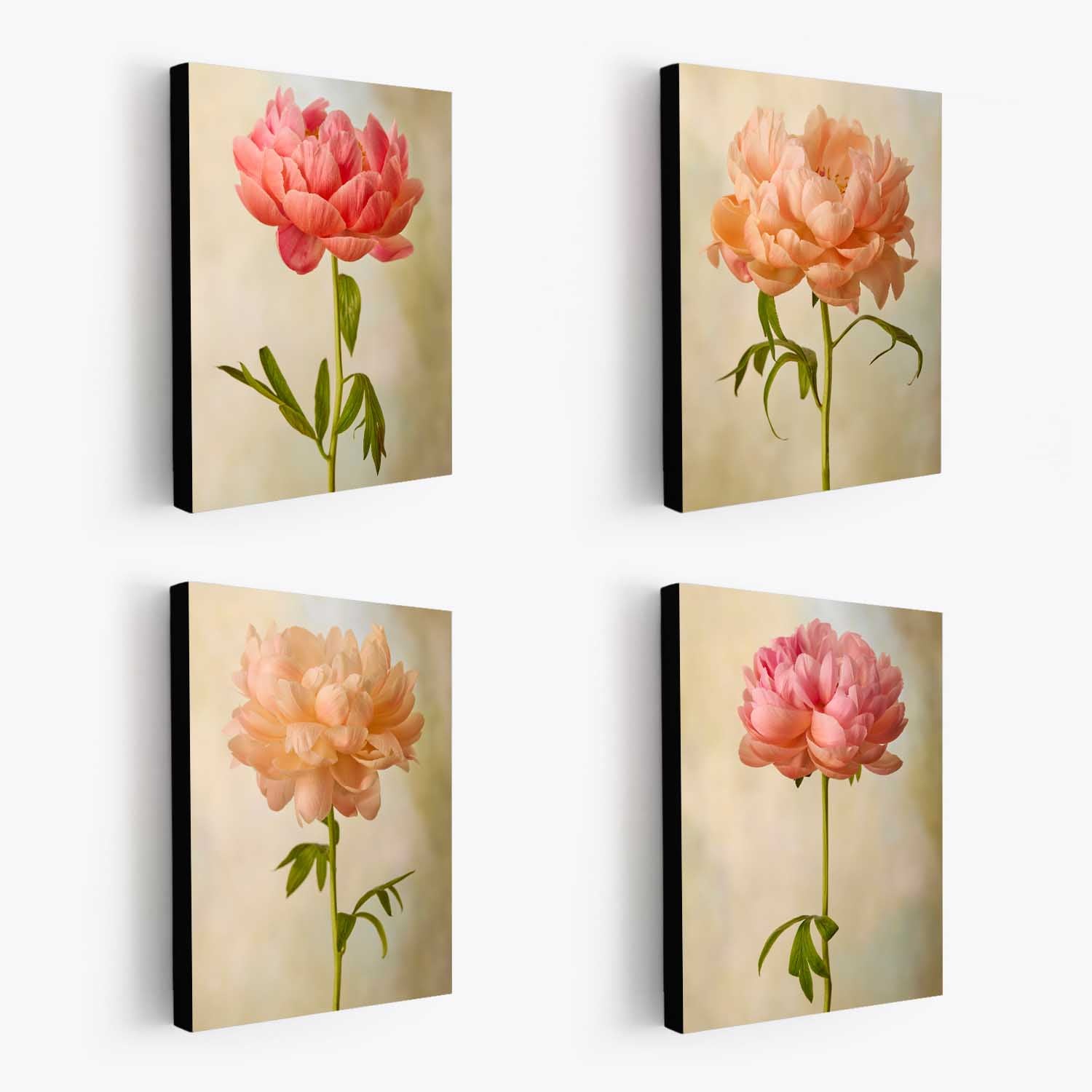 Coral Charm Peony 4 Piece Art Set