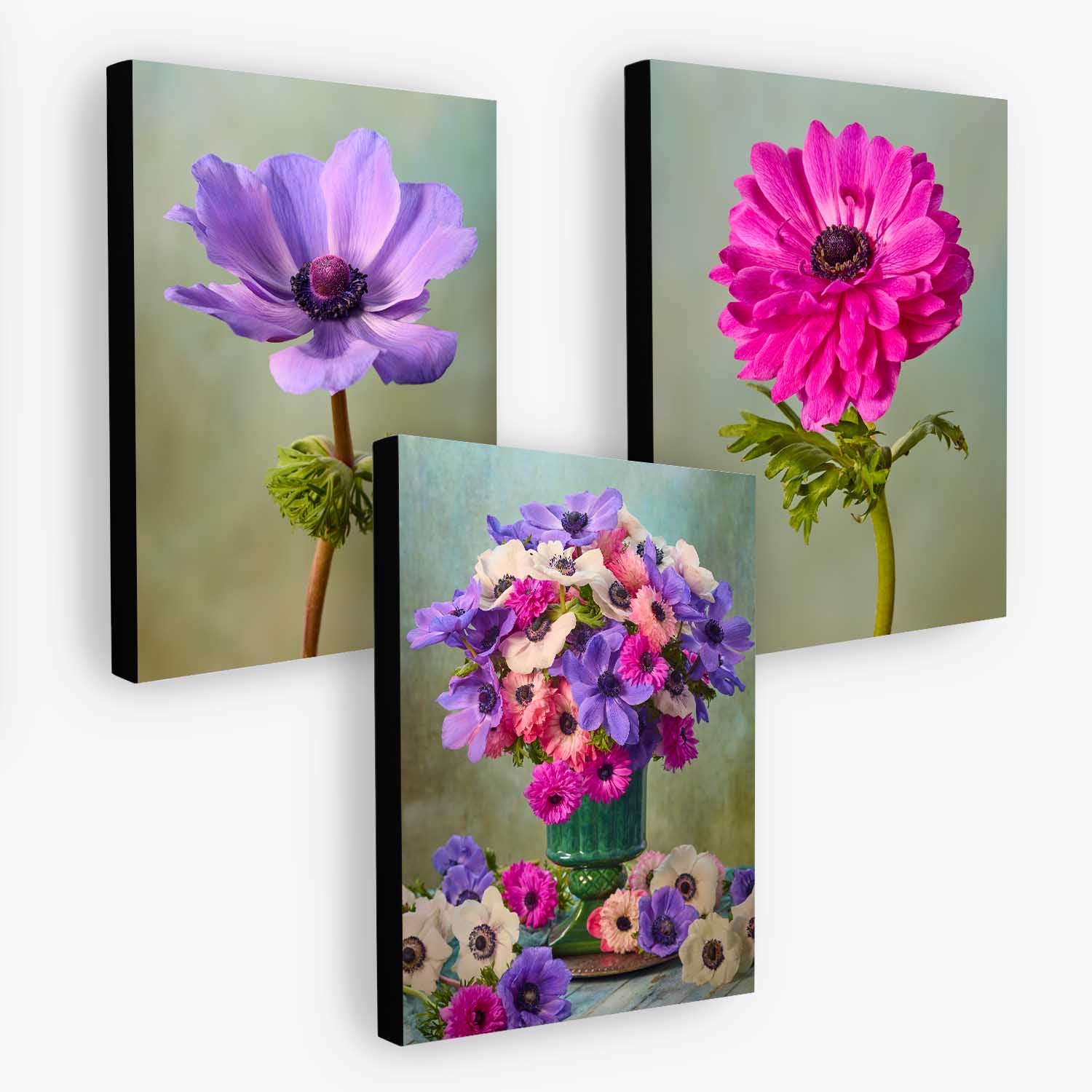 Anemone Harmony 3 Piece Art Set