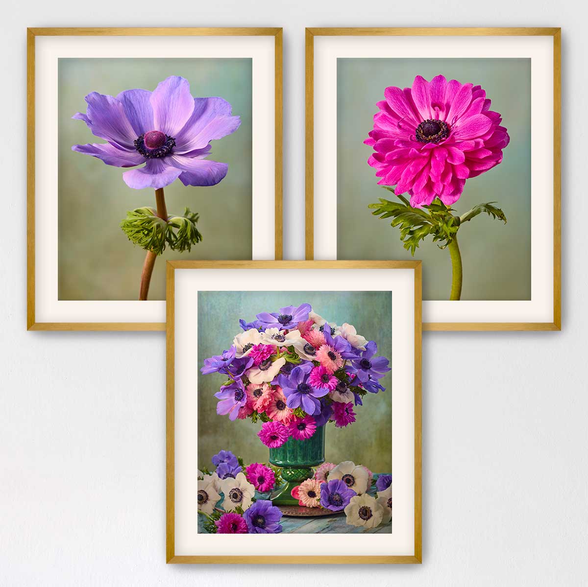 Anemone Harmony 3 Piece Art Set