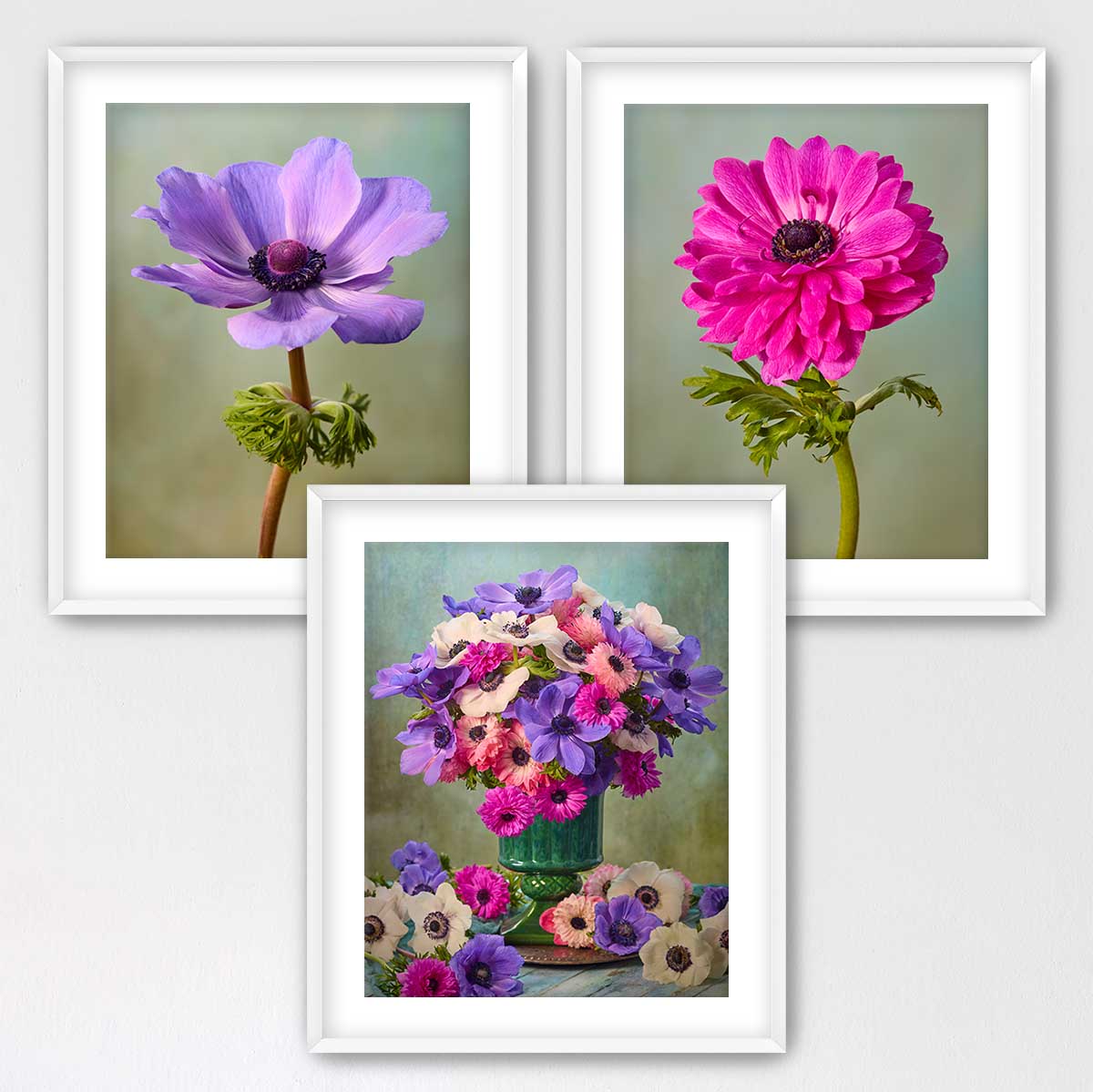 Anemone Harmony 3 Piece Art Set