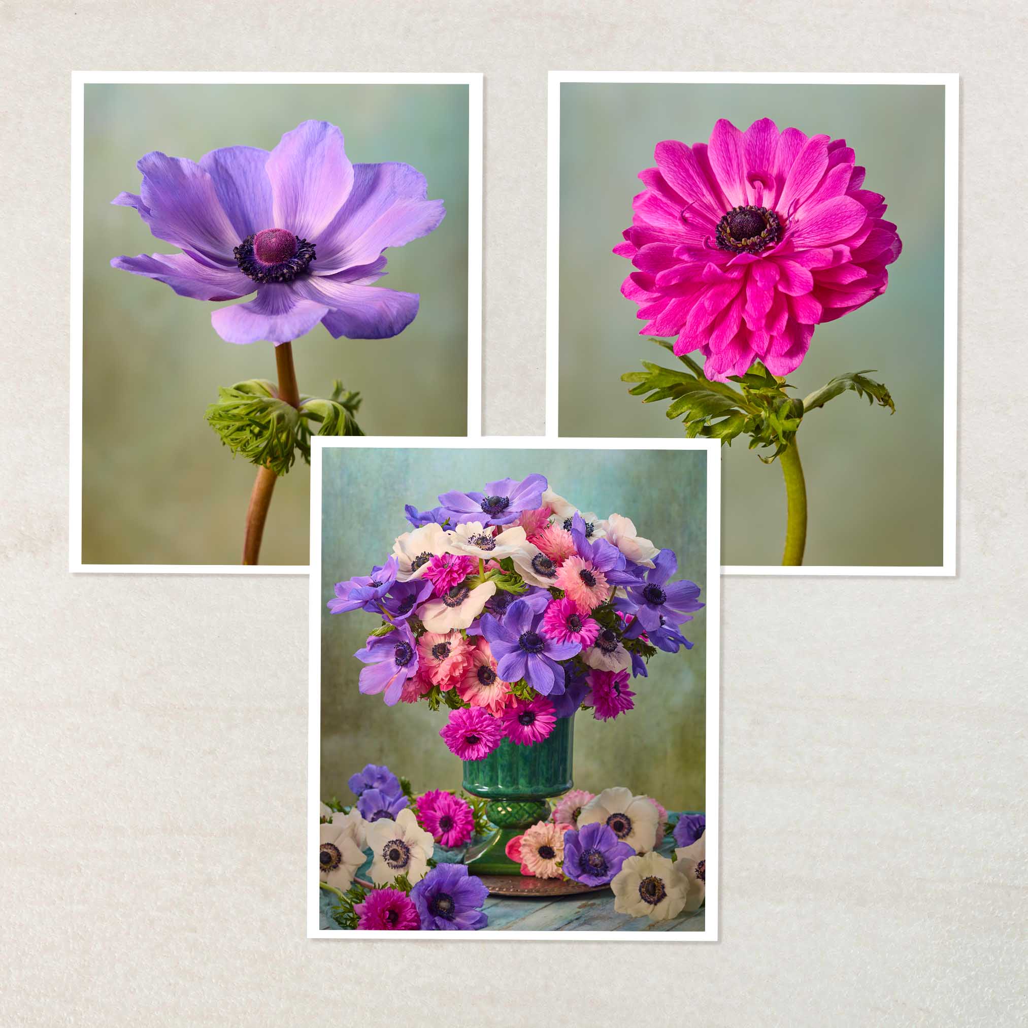 Anemone Harmony 3 Piece Art Set