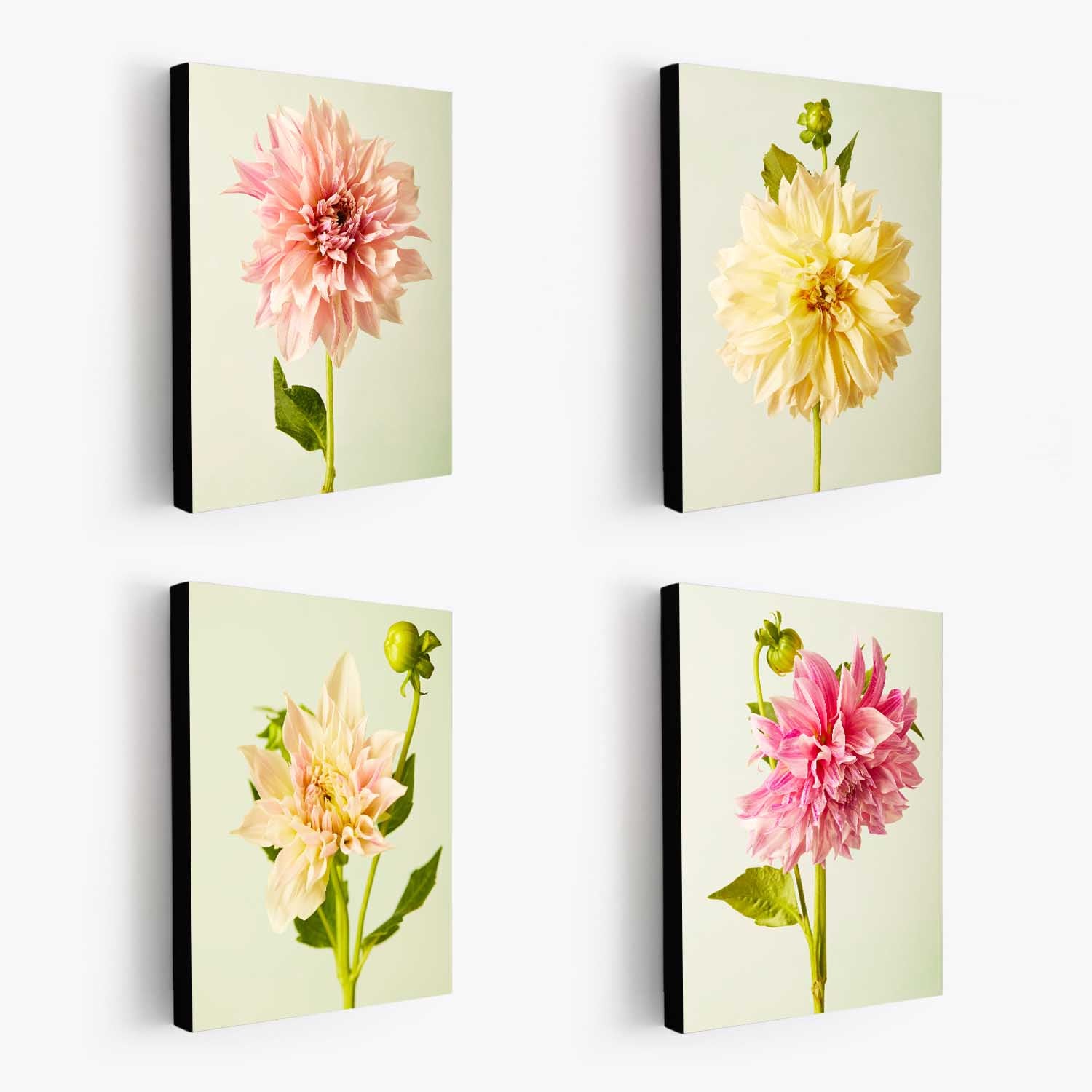 Cafe Au Lait Dahlia 4 Piece Art Set