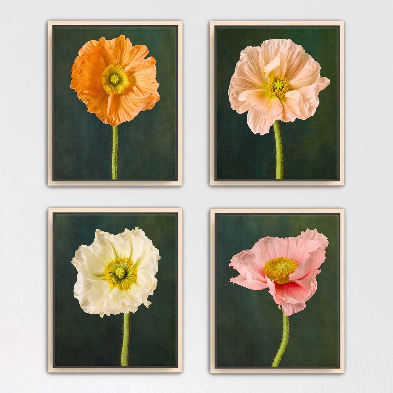 Poppy Portraits 4 Piece Art Set