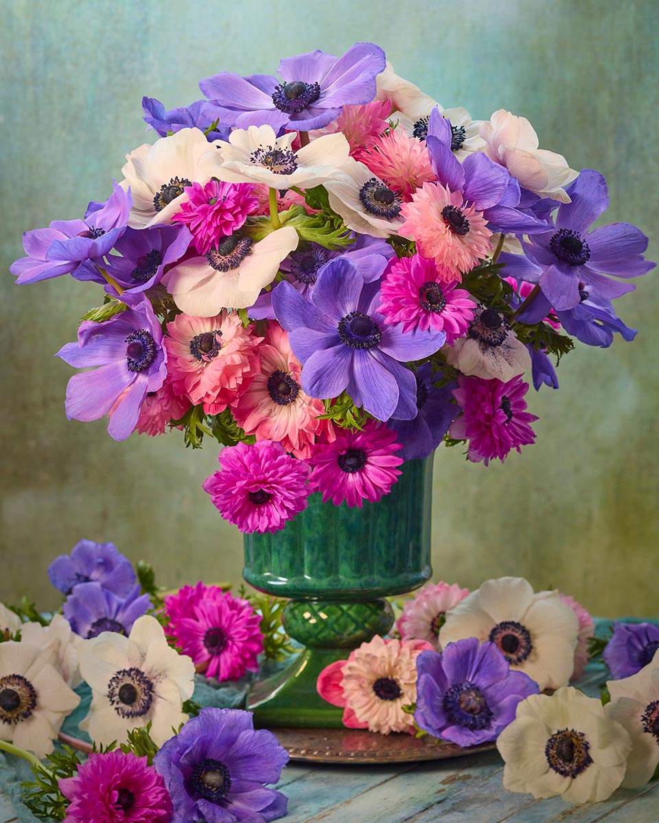 Anemone Harmony 3 Piece Art Set