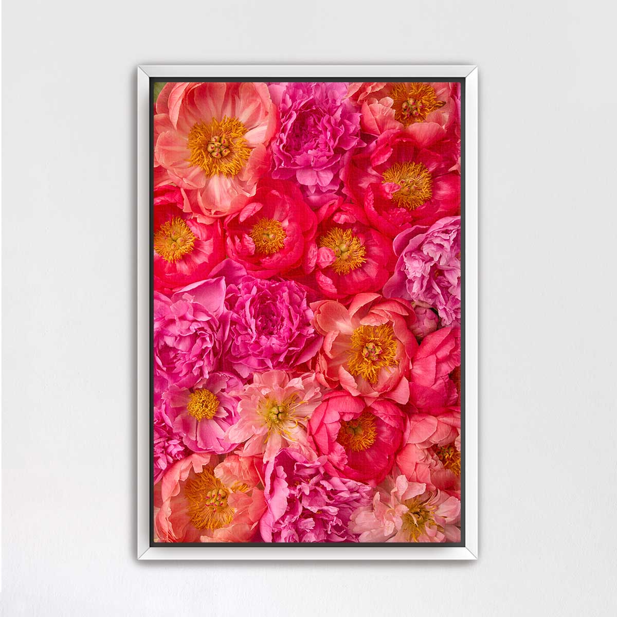 The image is a vibrant and colorful collage of various pink and orange flowers, including peonies, roses, and other blooms, arranged in a visually appealing manner.