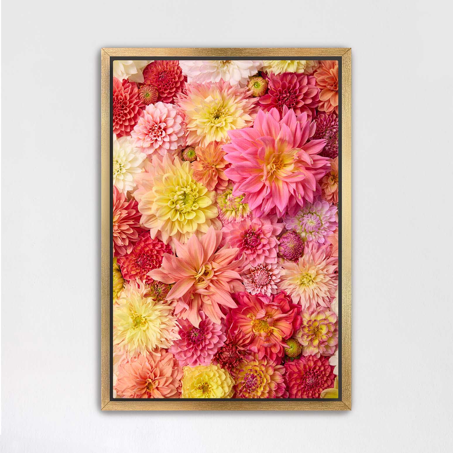 Blooming Bright
