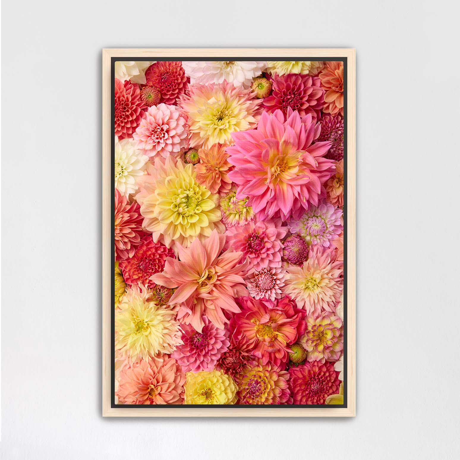 Blooming Bright
