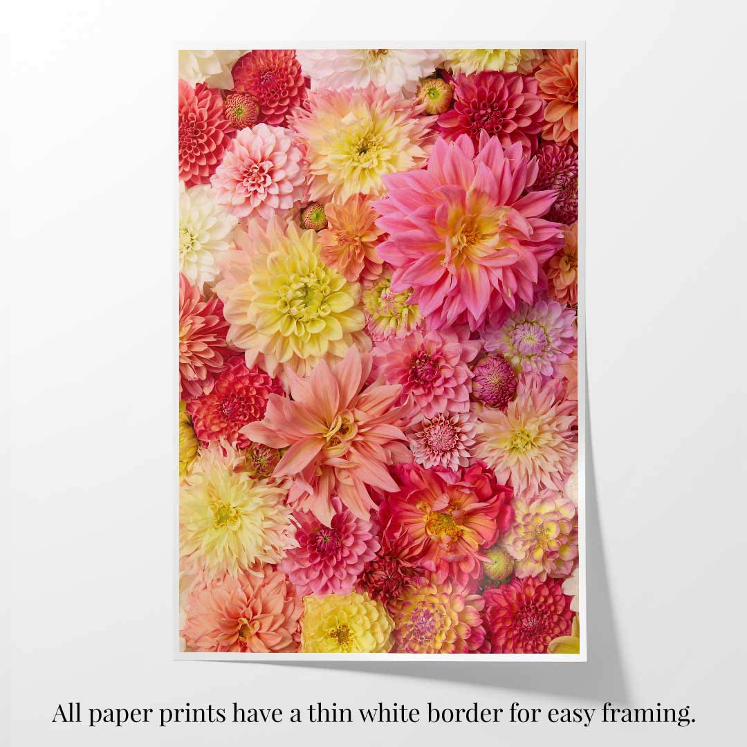 Blooming Bright