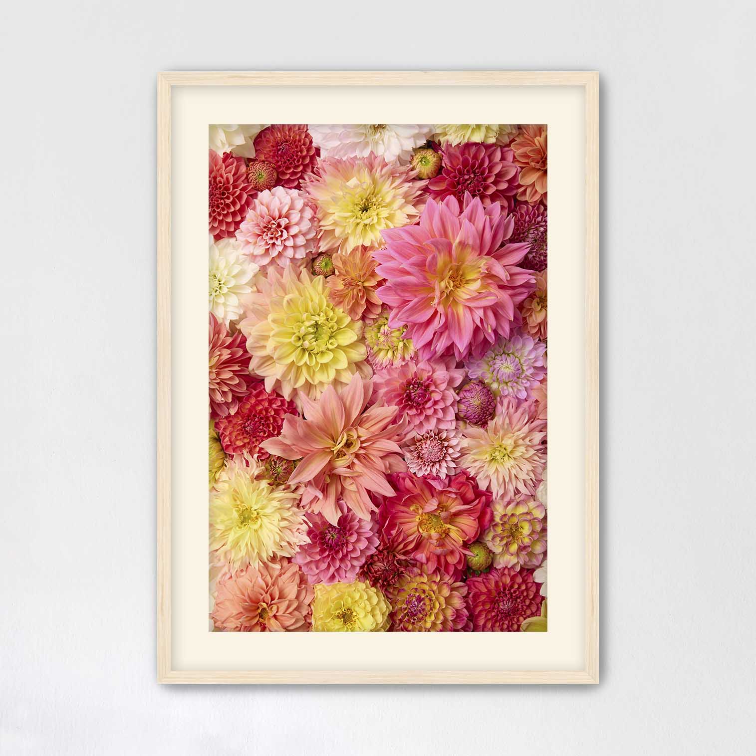 Blooming Bright