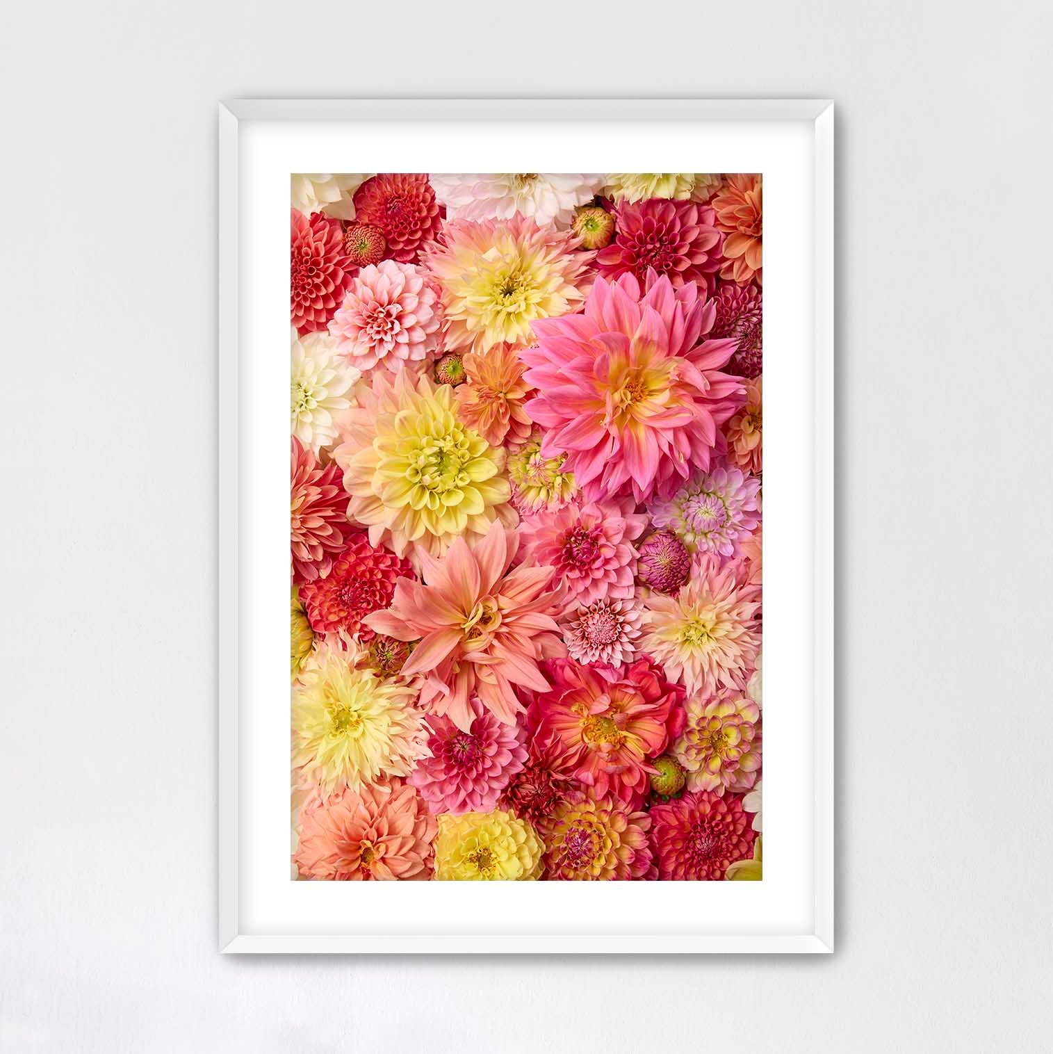 Blooming Bright