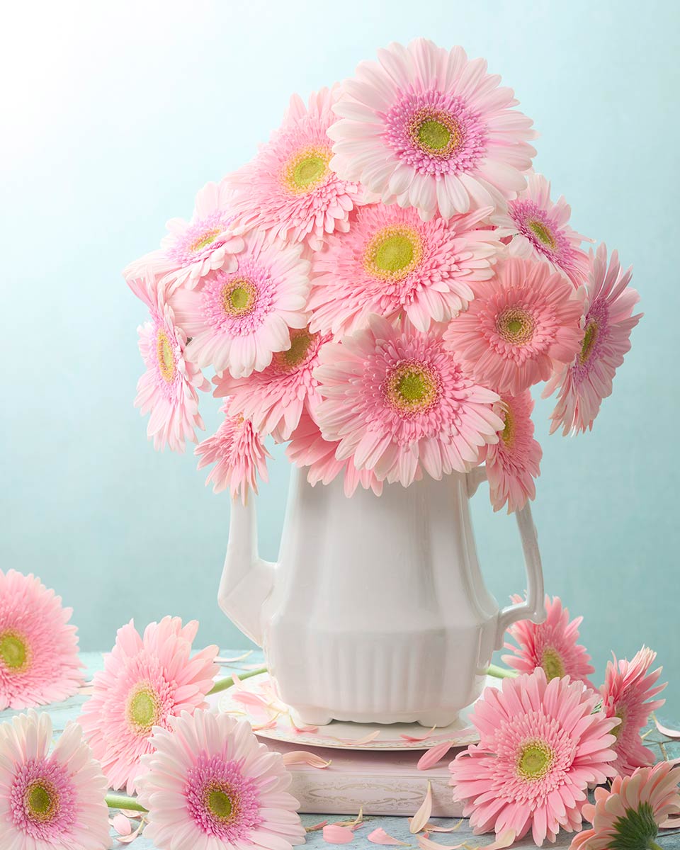 Pink Sunshine