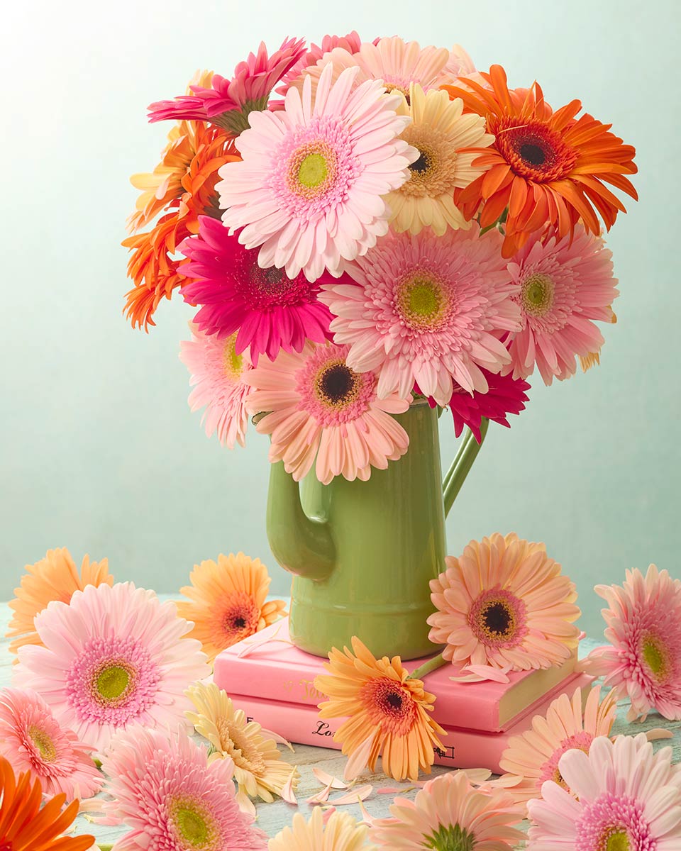 Daisy Daydreams