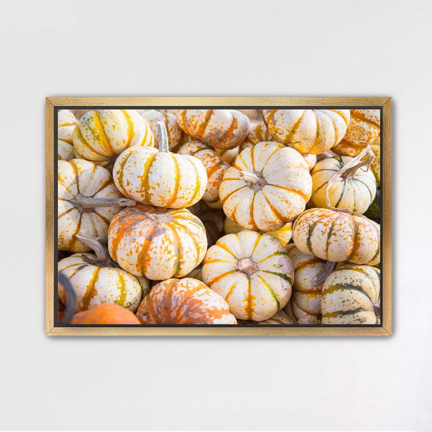 Mini Tiger Pumpkin Harvest