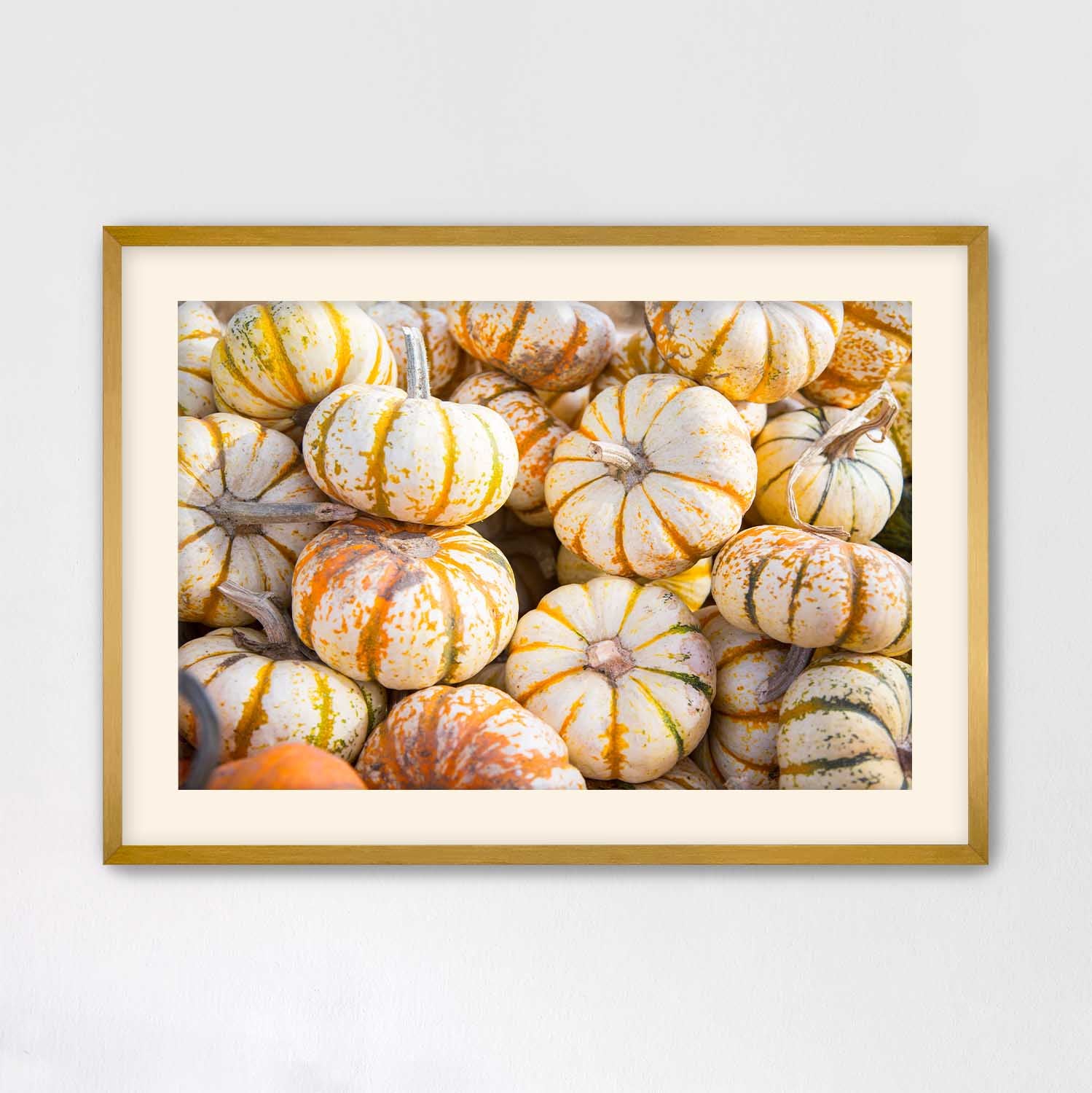 Mini Tiger Pumpkin Harvest