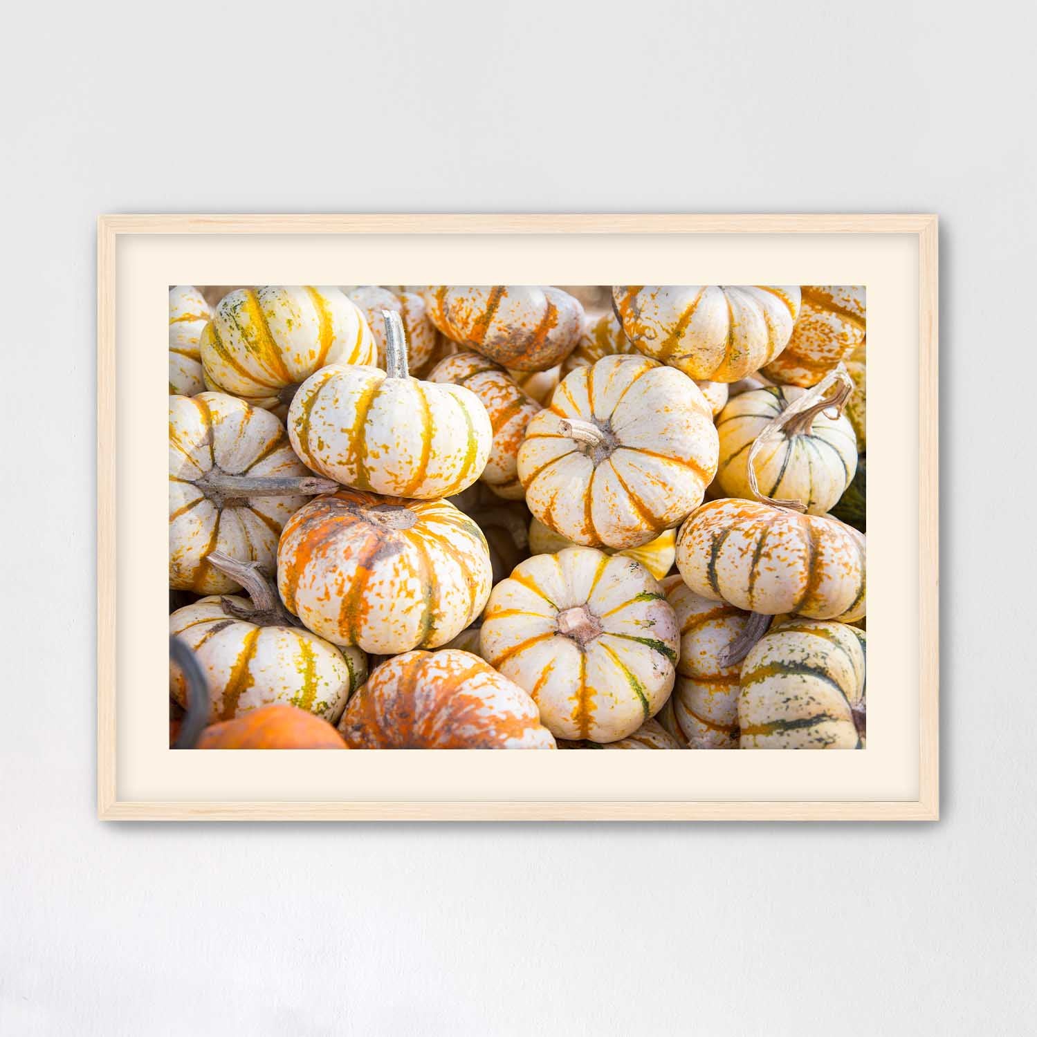 Mini Tiger Pumpkin Harvest