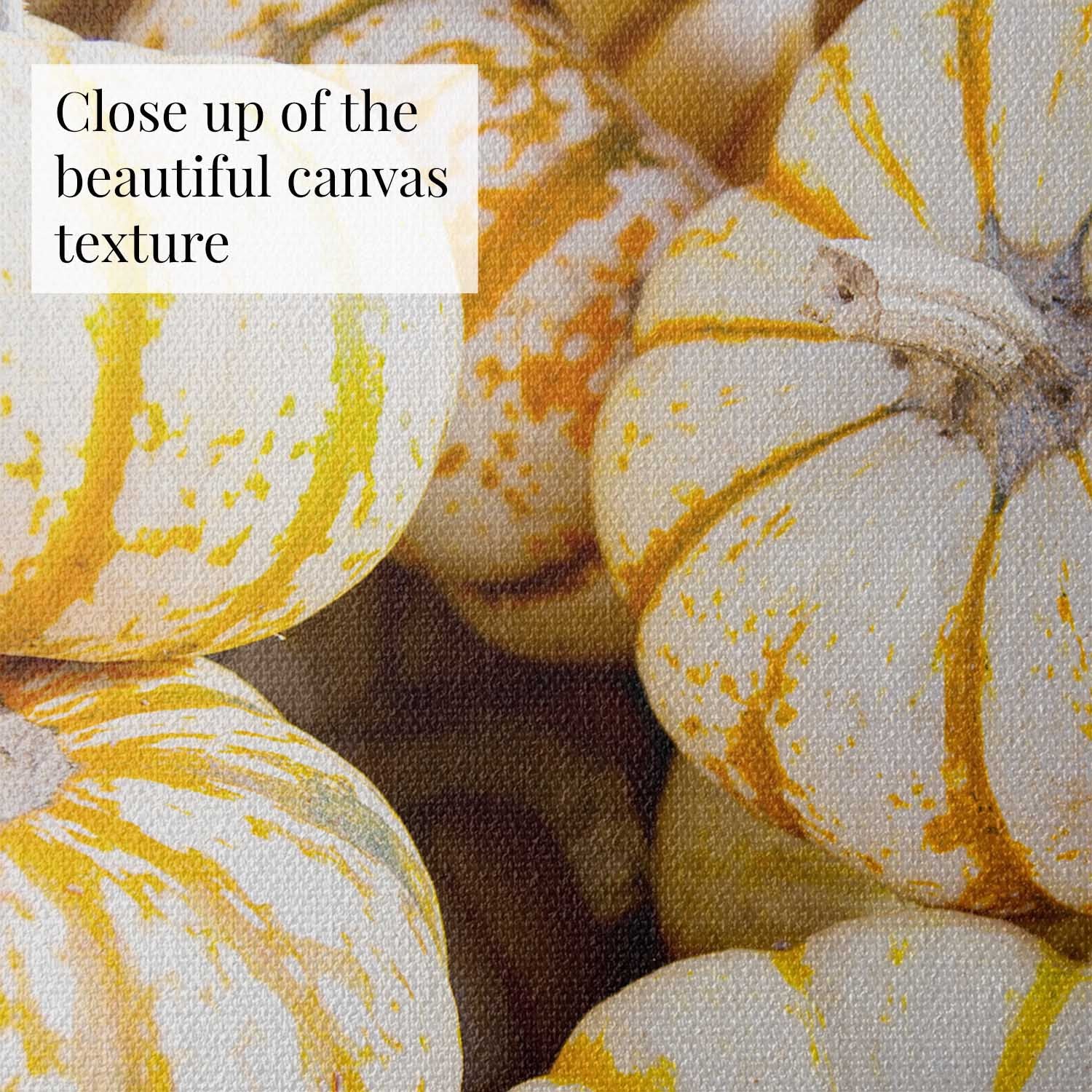 Mini Tiger Pumpkin Harvest