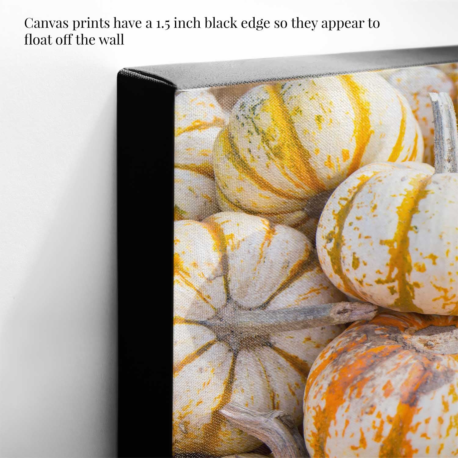 Mini Tiger Pumpkin Harvest