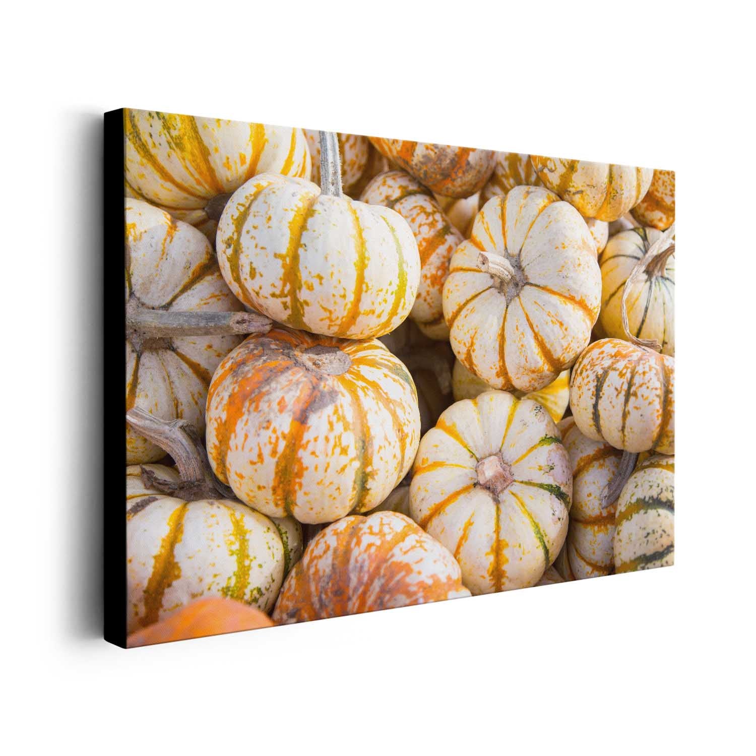 Mini Tiger Pumpkin Harvest