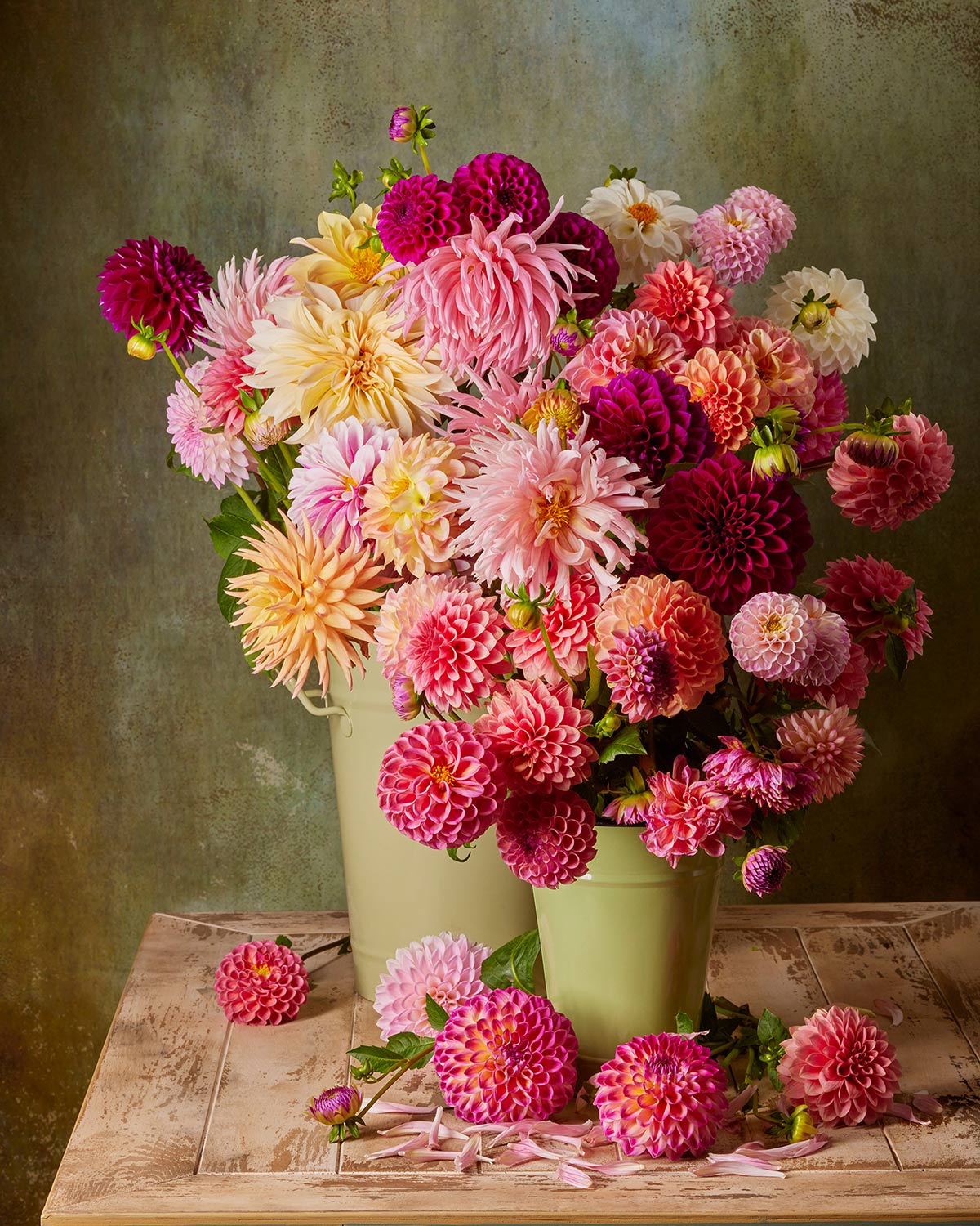 The Dahlia Harvest showcases dahlias in vibrant pink, purple, and peach-filled green buckets. They rest on rustic wood against a textured backdrop. Scattered petals add to its lively charm.