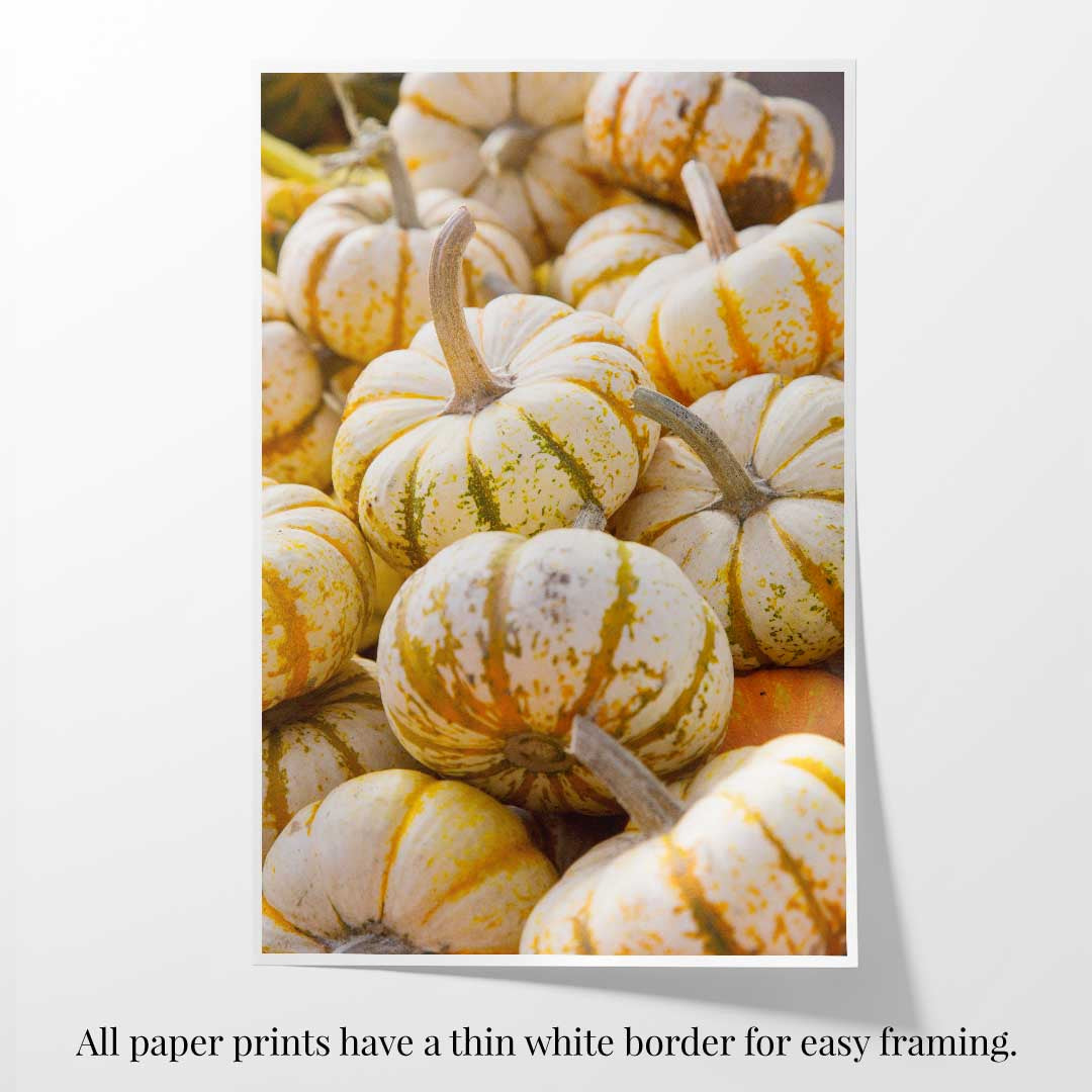 Mini Tiger Pumpkin Vertical