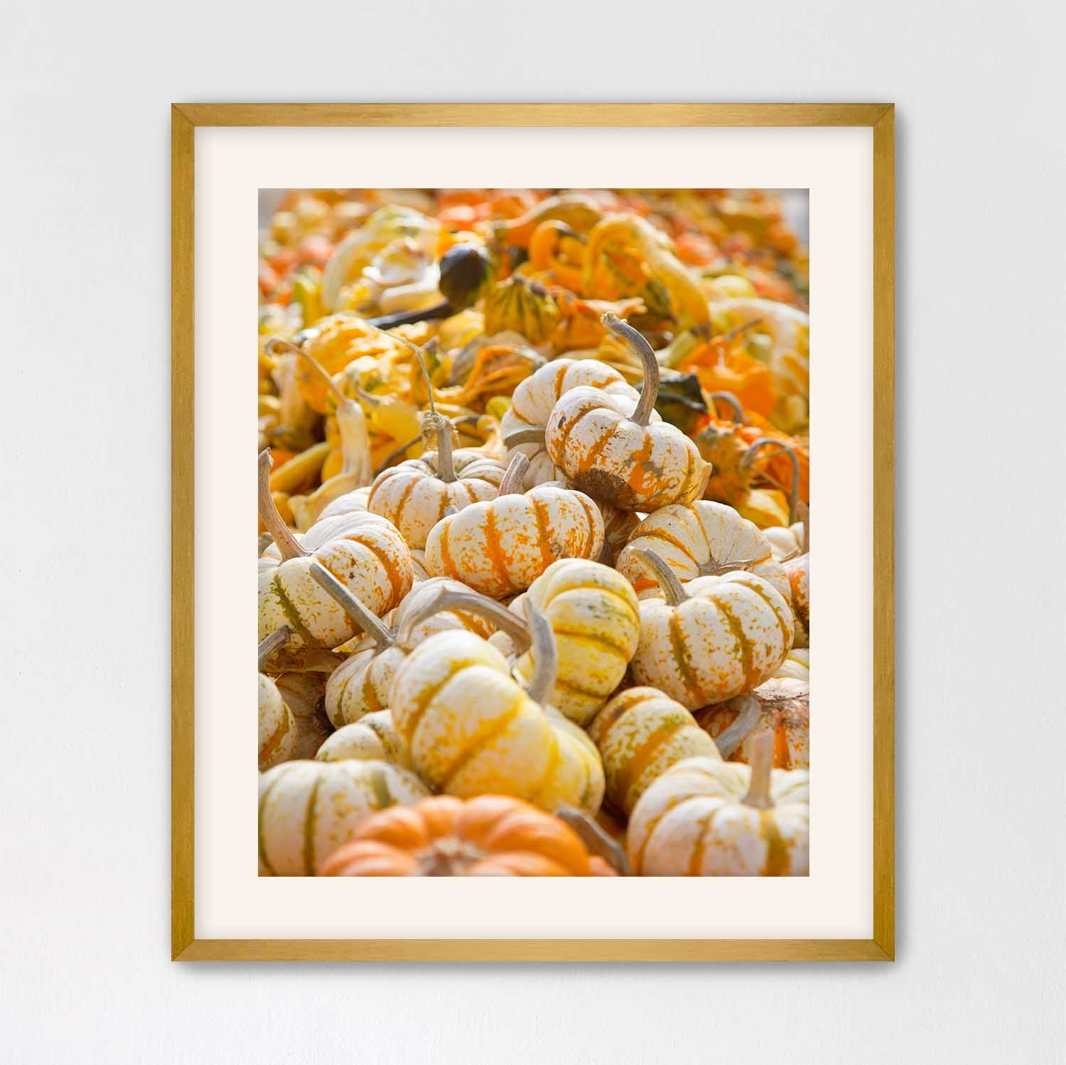 Gold wood framed print of small pumpkins on a white background