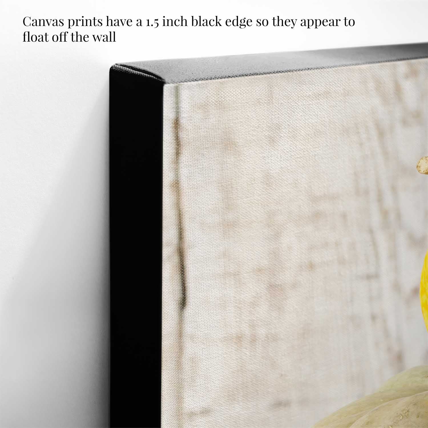 Detail shot of the corner of the canvas print with a black edge on a white wall.