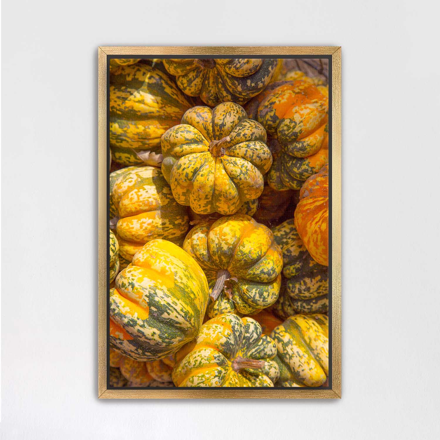 Gold Framed canvas print of colorful pumpkins on a white wall.