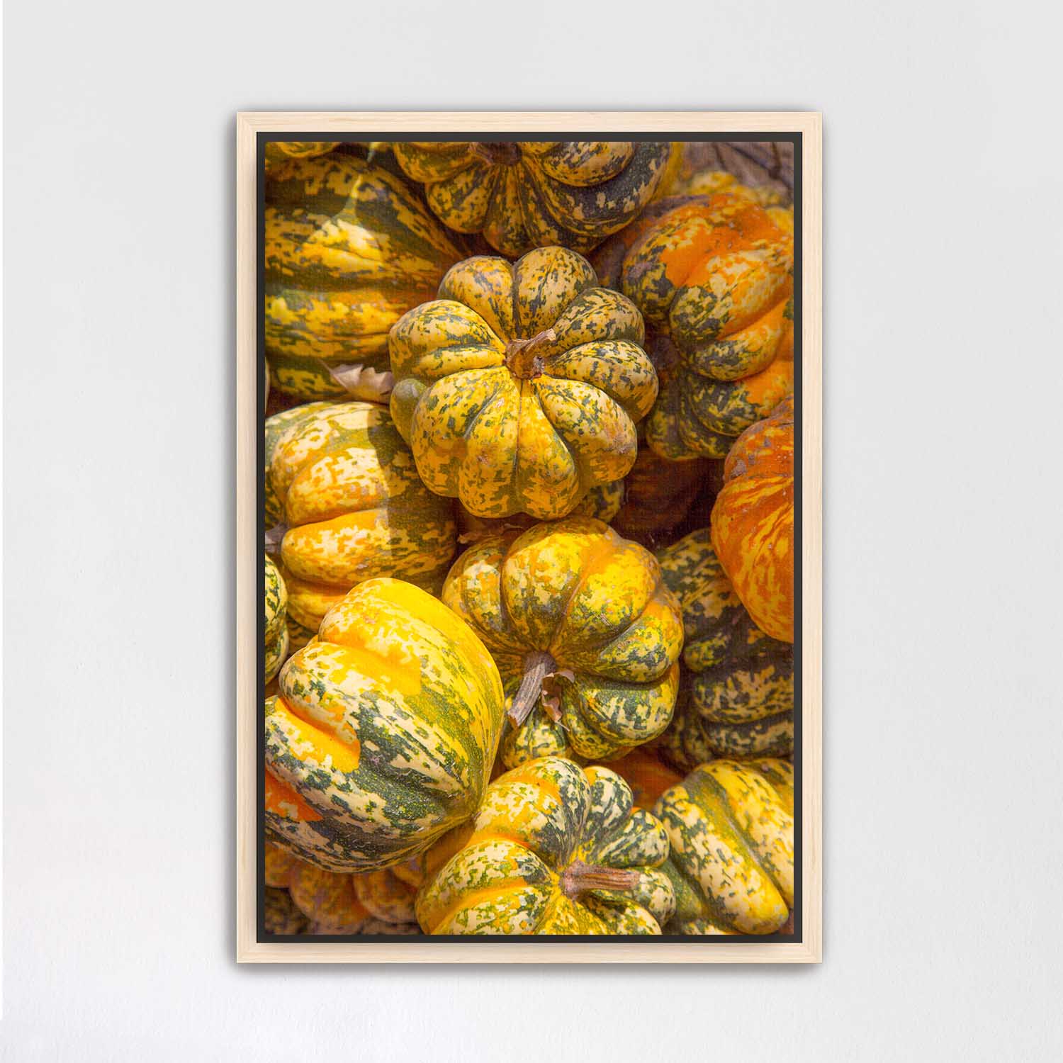 Maple Framed canvas print of colorful pumpkins on a light gray wall.